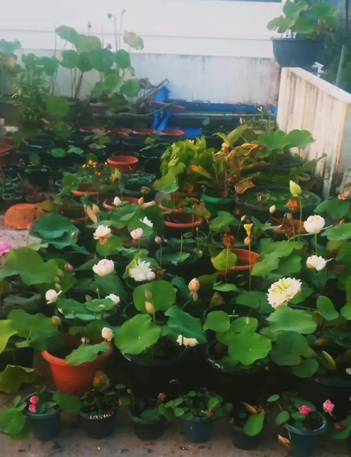Raelyn'S Homestay Kochi