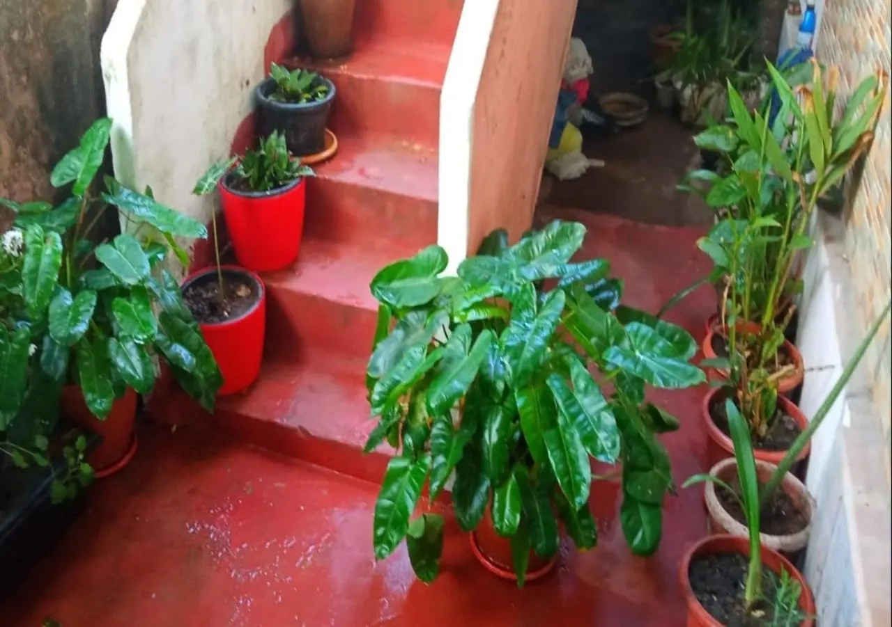 Raelyn'S Homestay Kochi