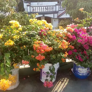  Homestay Heavenly